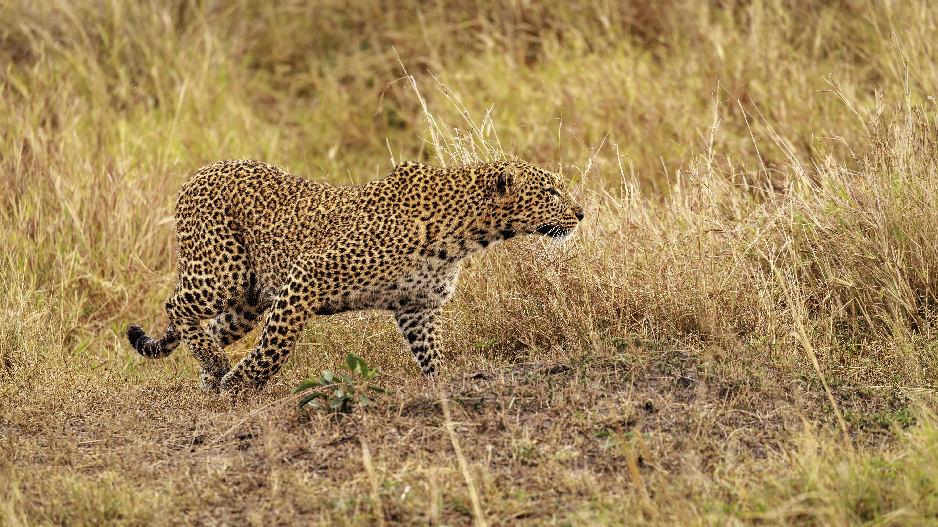 November 10, 2022-131203-5-Edit.jpg